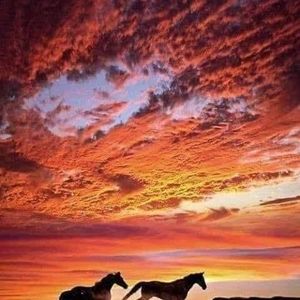 Meet your Posher, Buffy